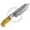 Rebel Wolf Multi-Role Wilderness Damascus Forged Knife Apricot Handle Grips